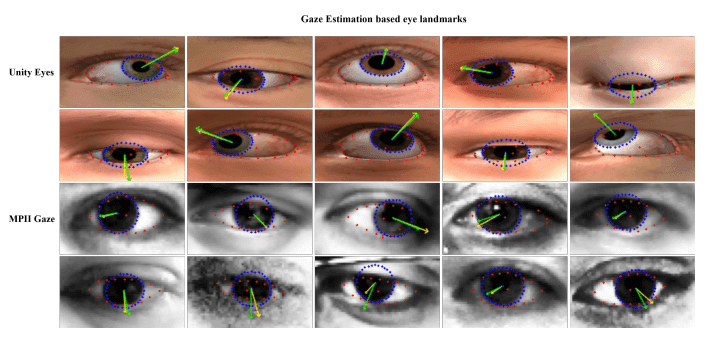 Eye (Gaze Estimation)
